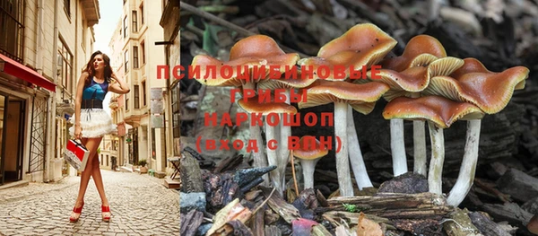 крисы Няндома