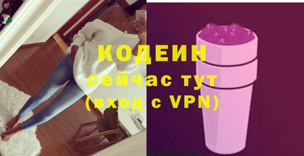 крисы Няндома