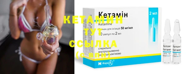 крисы Няндома