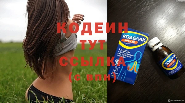 крисы Няндома