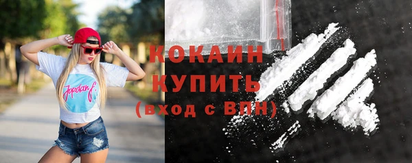 крисы Няндома