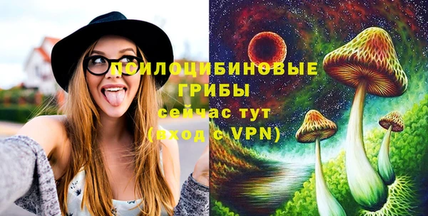 крисы Няндома
