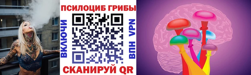 Псилоцибиновые грибы Psilocybe  МЕГА tor  Менделеевск 