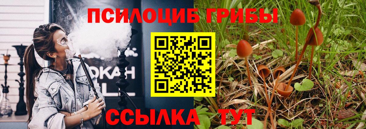 Псилоцибиновые грибы Psilocybine cubensis  цена наркотик  Менделеевск  Вход с VPN 